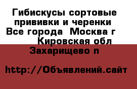 Гибискусы сортовые, прививки и черенки - Все города, Москва г.  »    . Кировская обл.,Захарищево п.